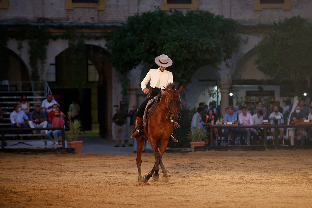 La copa de España de Doma Vaquera en imágenes