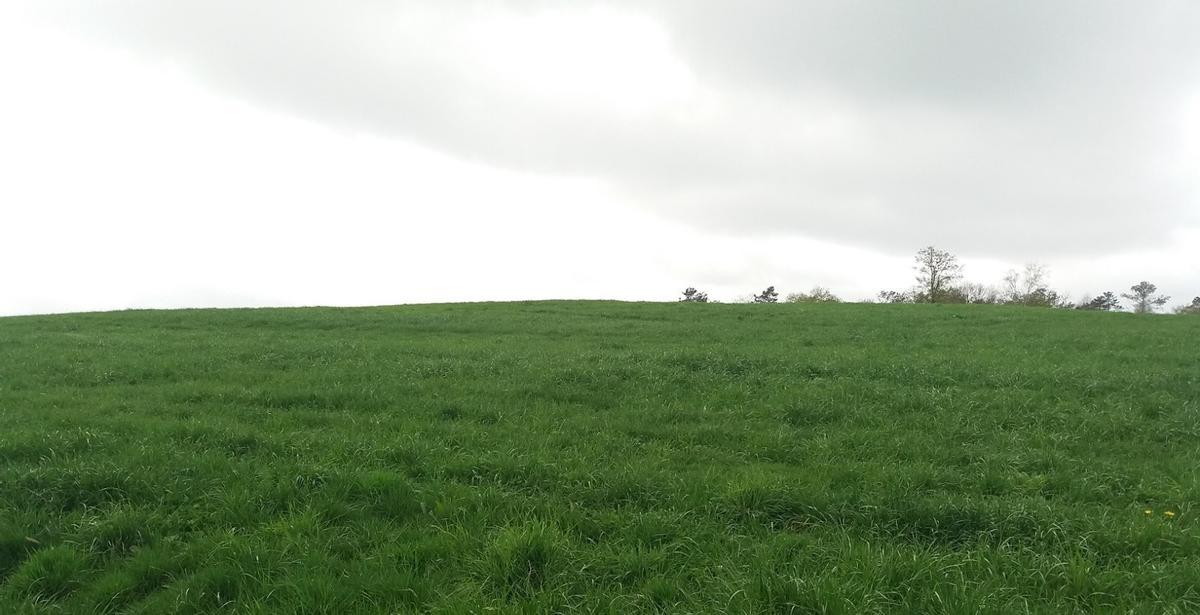 Lugar onde se localizaba a mámoa de Maceira, Coto da Manuela.