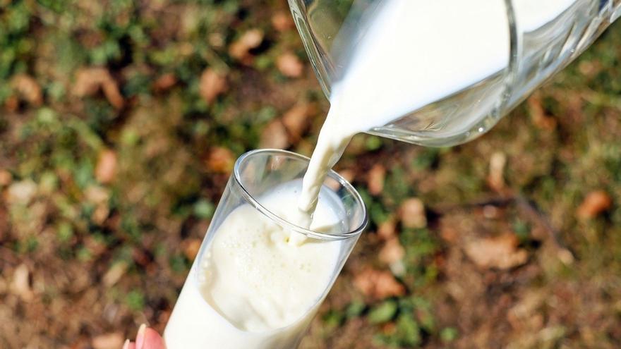 La OCU recomienda esta leche de marca blanca que arrasa en los supermercados