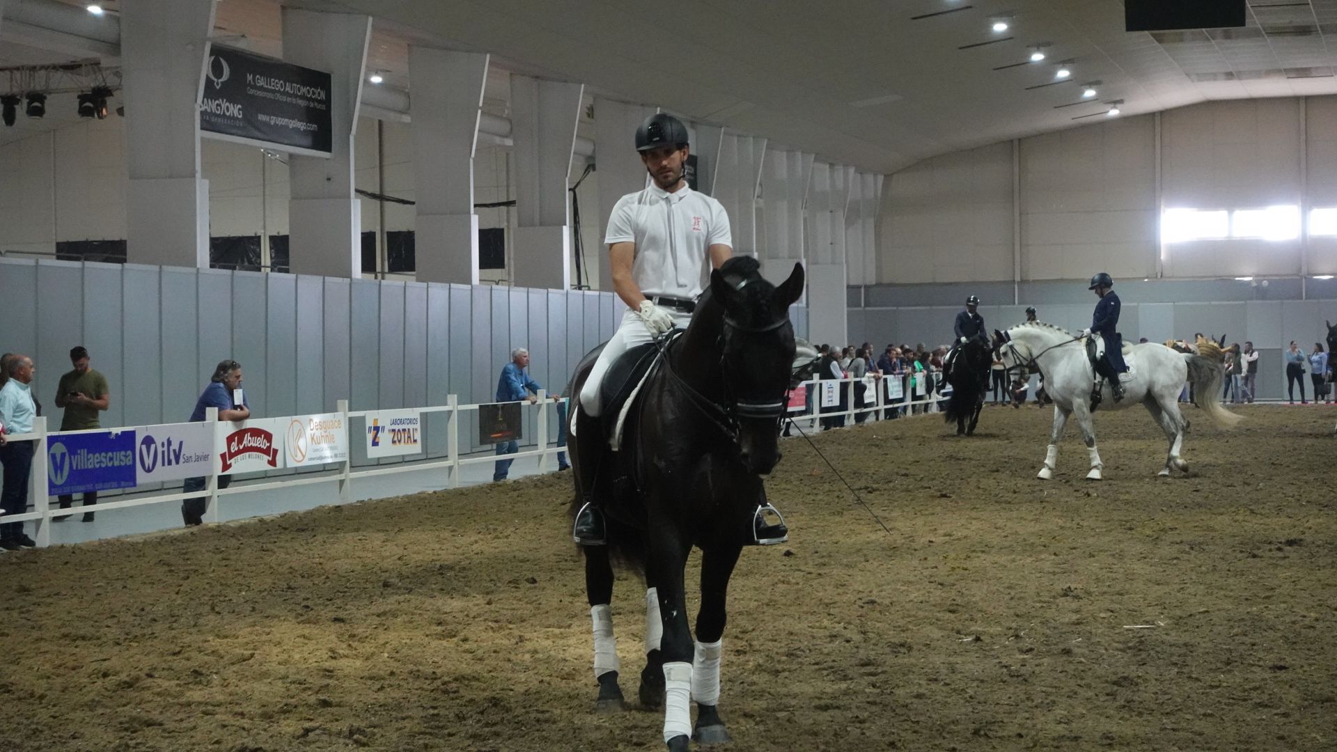 Feria del caballo de Torre Pacheco