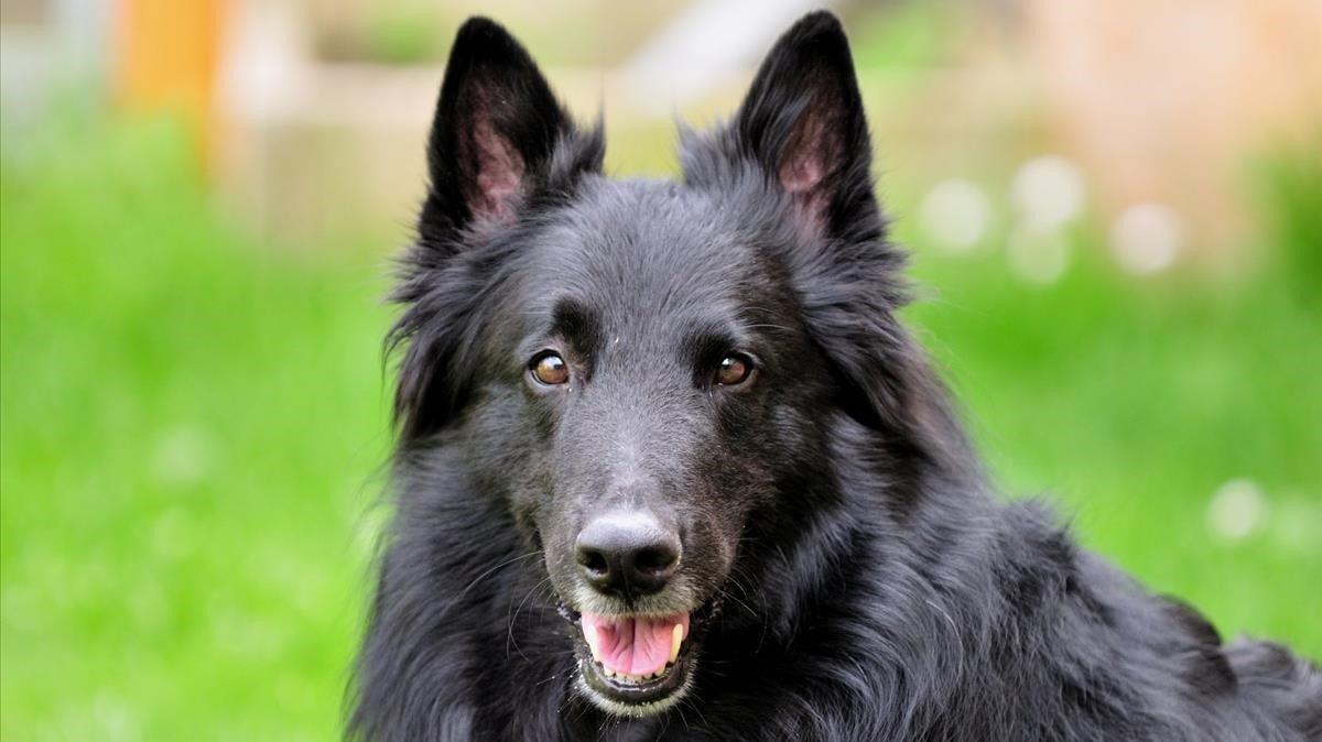 lainz45314708 181003152818