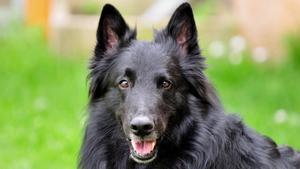 lainz45314708 181003152818