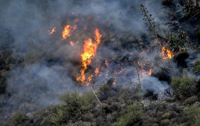 TEJEDA. Incendio en La Cumbre cercanía de Tejeda.  | 11/08/2019 | Fotógrafo: José Pérez Curbelo