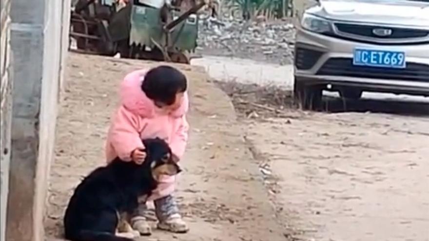 El tierno vídeo que se ha vuelto viral: una niña pequeña protege a su perro de los fuegos artificiales