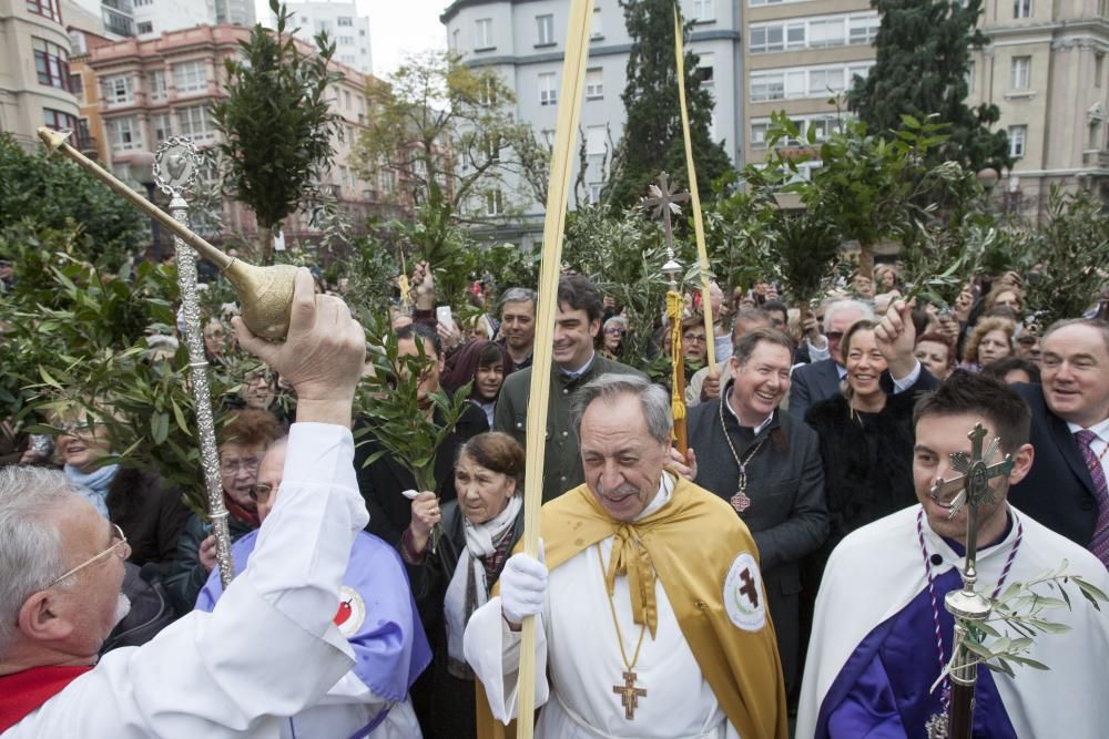 procesion borriquilla