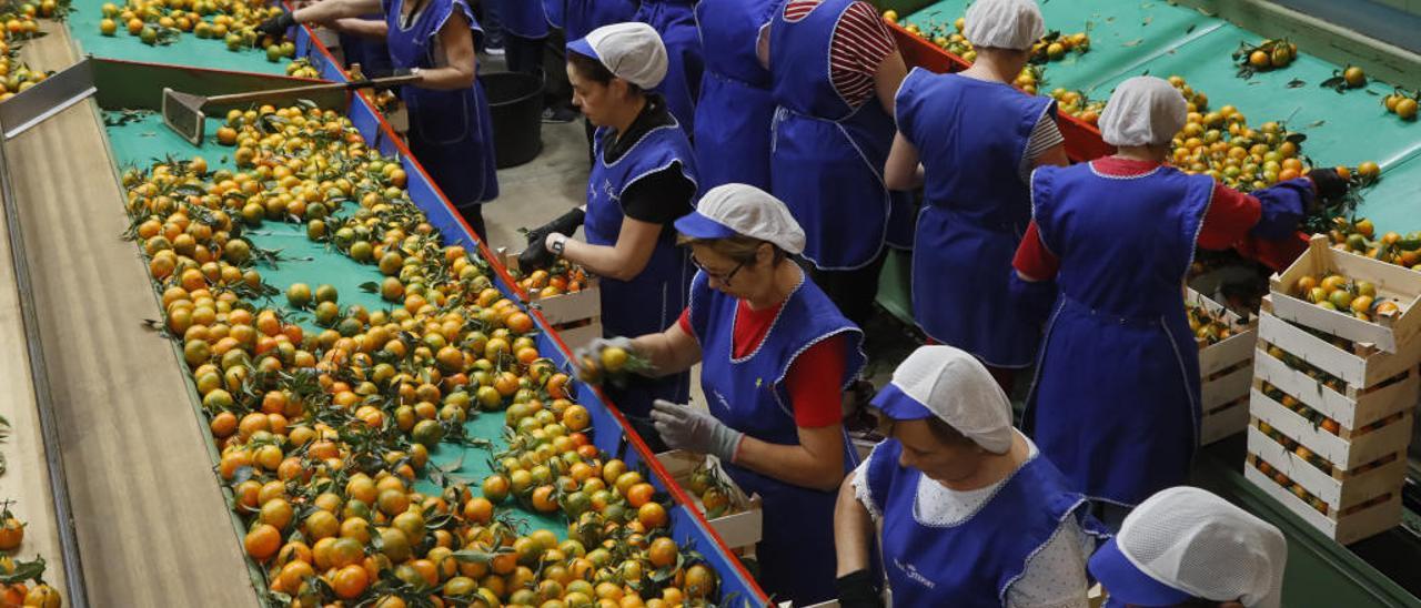 Mujeres con mando agrario