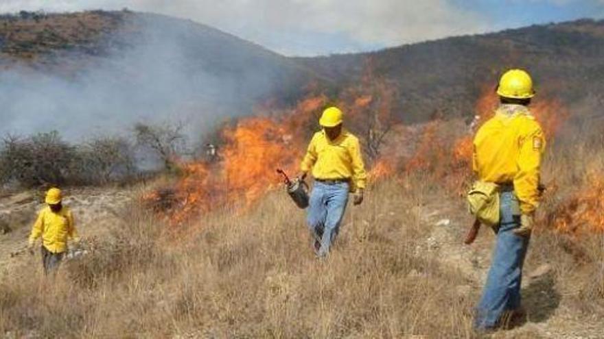 Quemas controladas en el término municipal