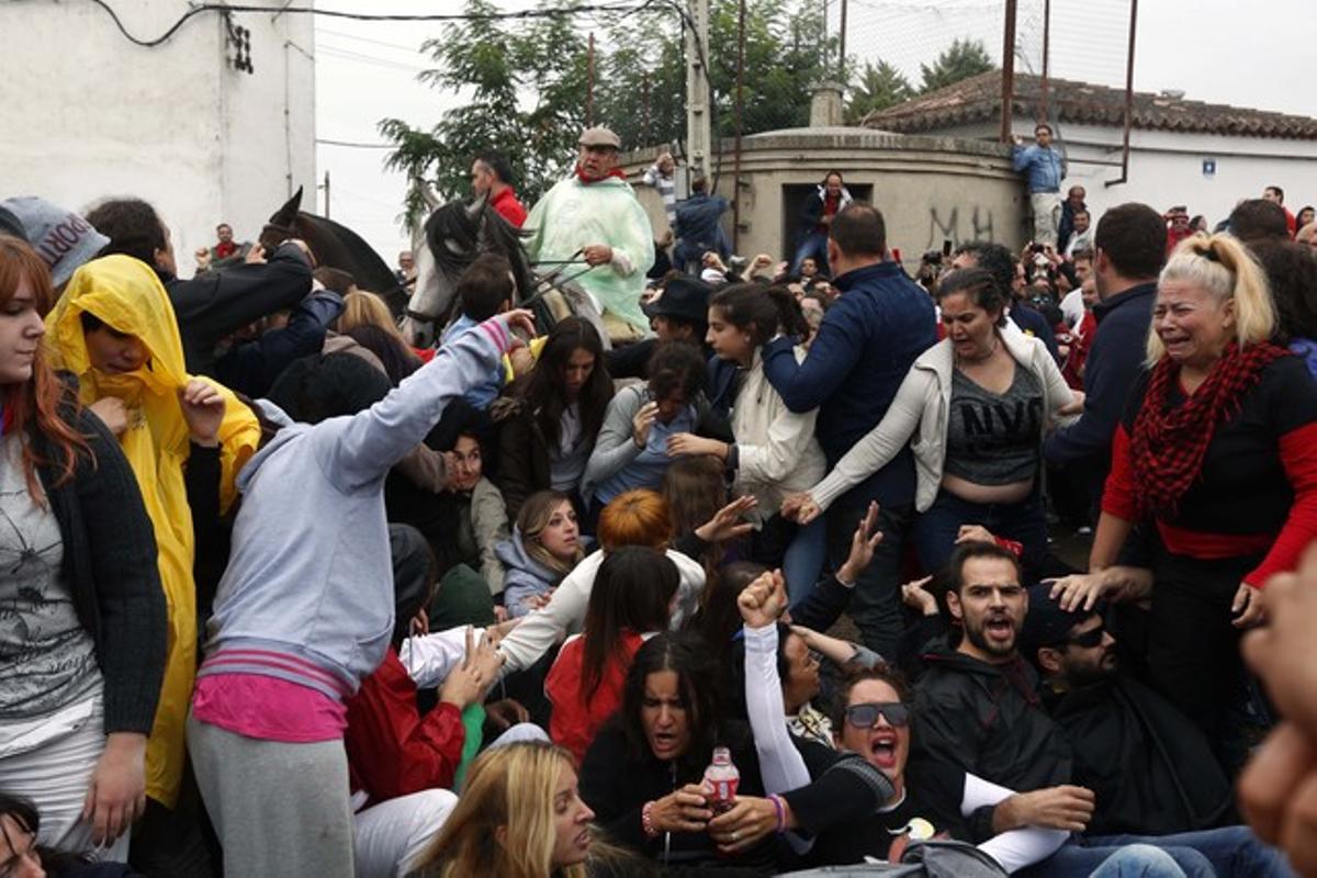 Los primeros altercados entre defensores del Toro de la Vega y periodistas que cubren este acontecimiento se han desencadenado poco antes de las diez de la mañana. 