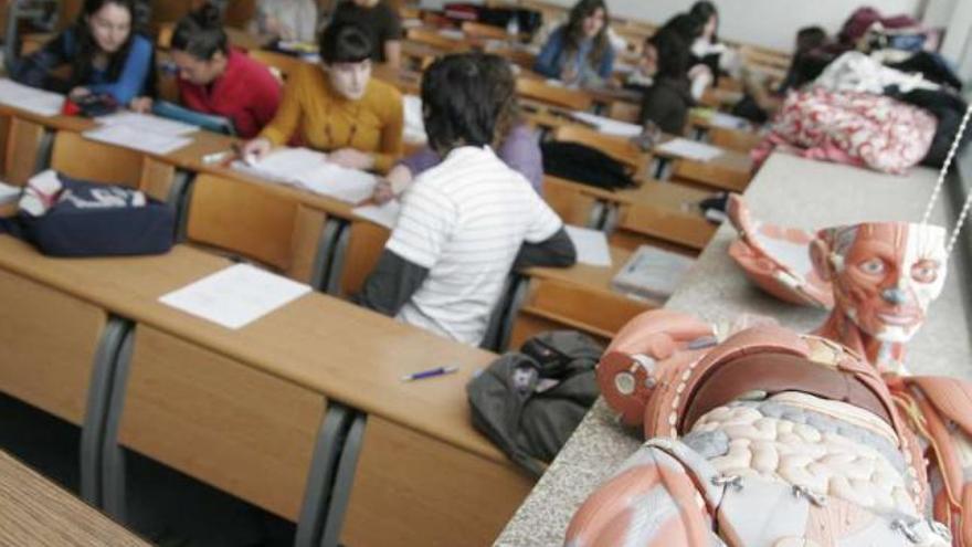 Alumnos de Fisioterapia, en un aula. / eduardo vicente