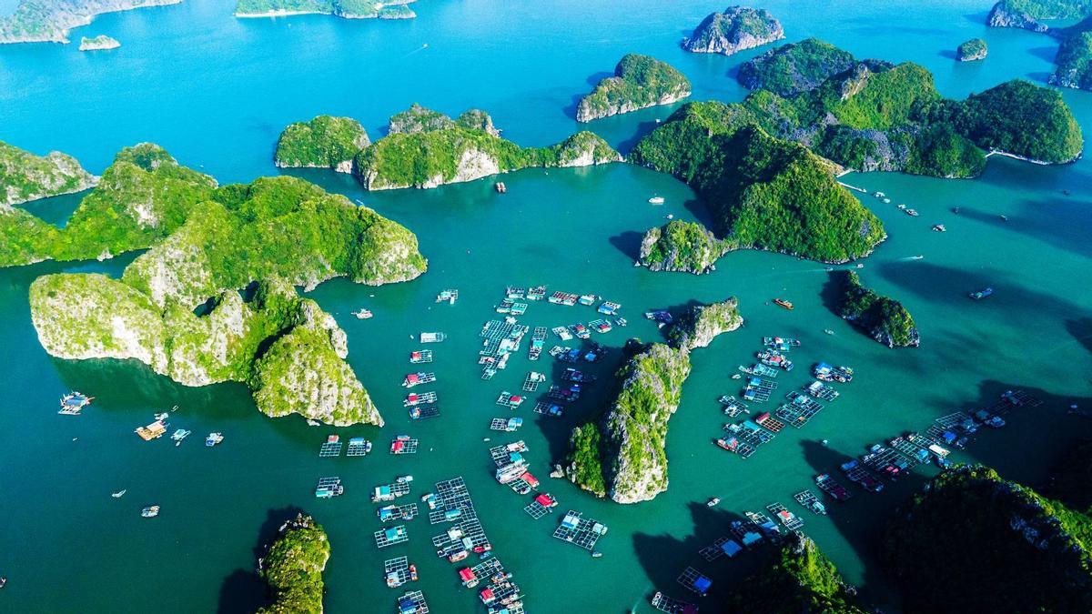 Recorrido por la hermana pequeña de la Bahía de Halong.