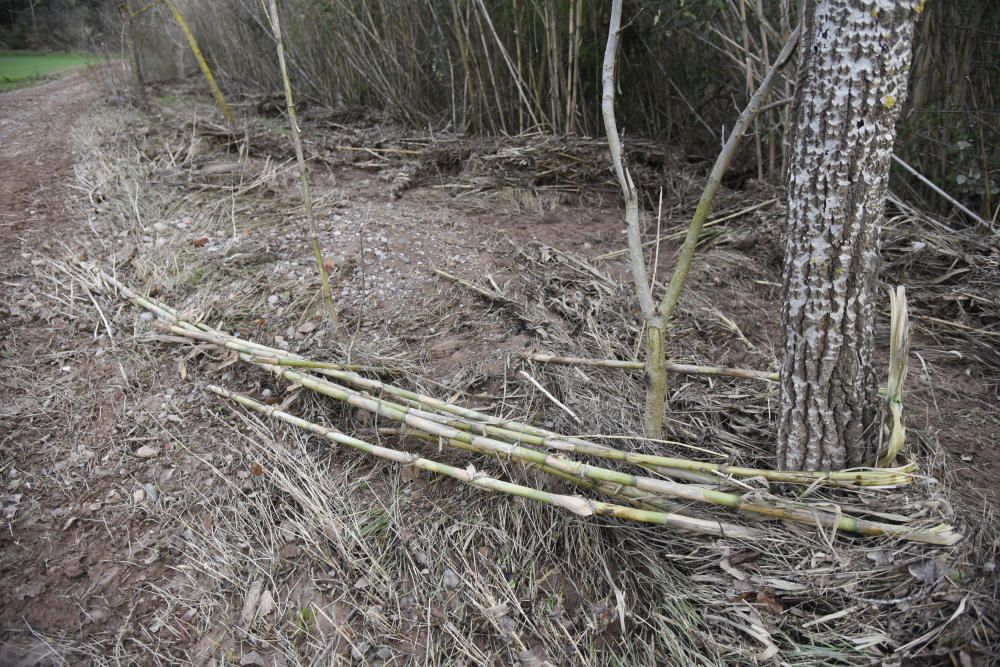 El principal camí del Suanya de Manresa, malmès pel temporal