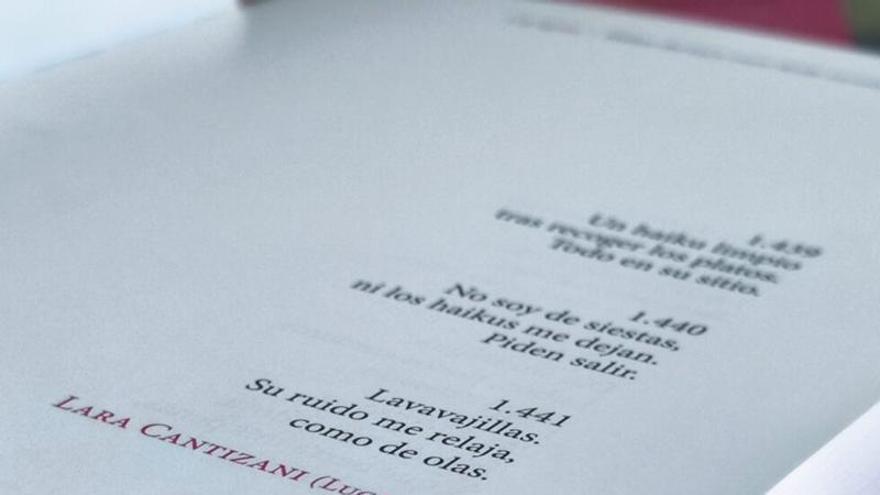 Lucena lanza la sexta edición del Premio Nacional de Poesía Lara Cantizani con tres modalidades y premios en metálico
