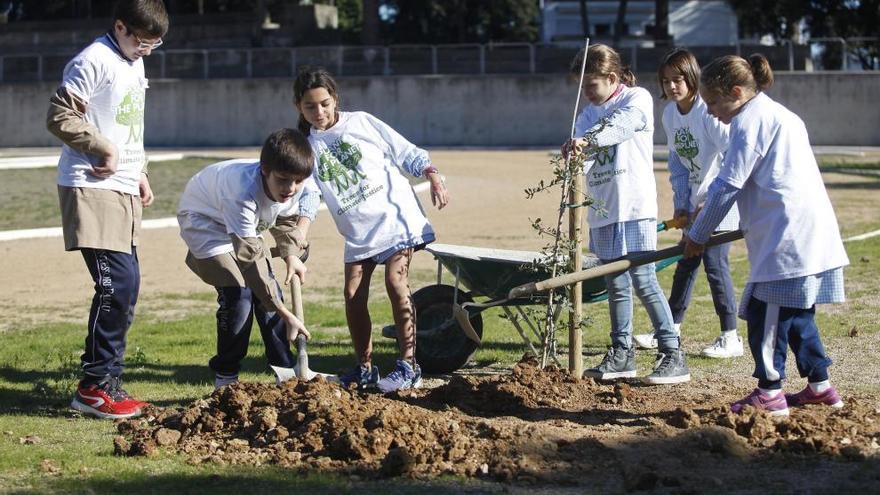 El taller que es va celebrar ahir a l&#039;escola Montessori