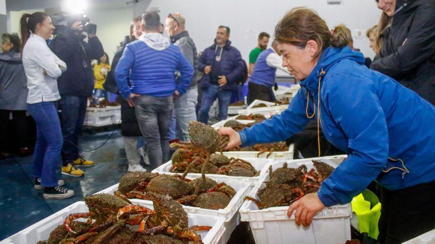 El centollo más exquisito y asequible se sirve en los restaurantes de O Grove