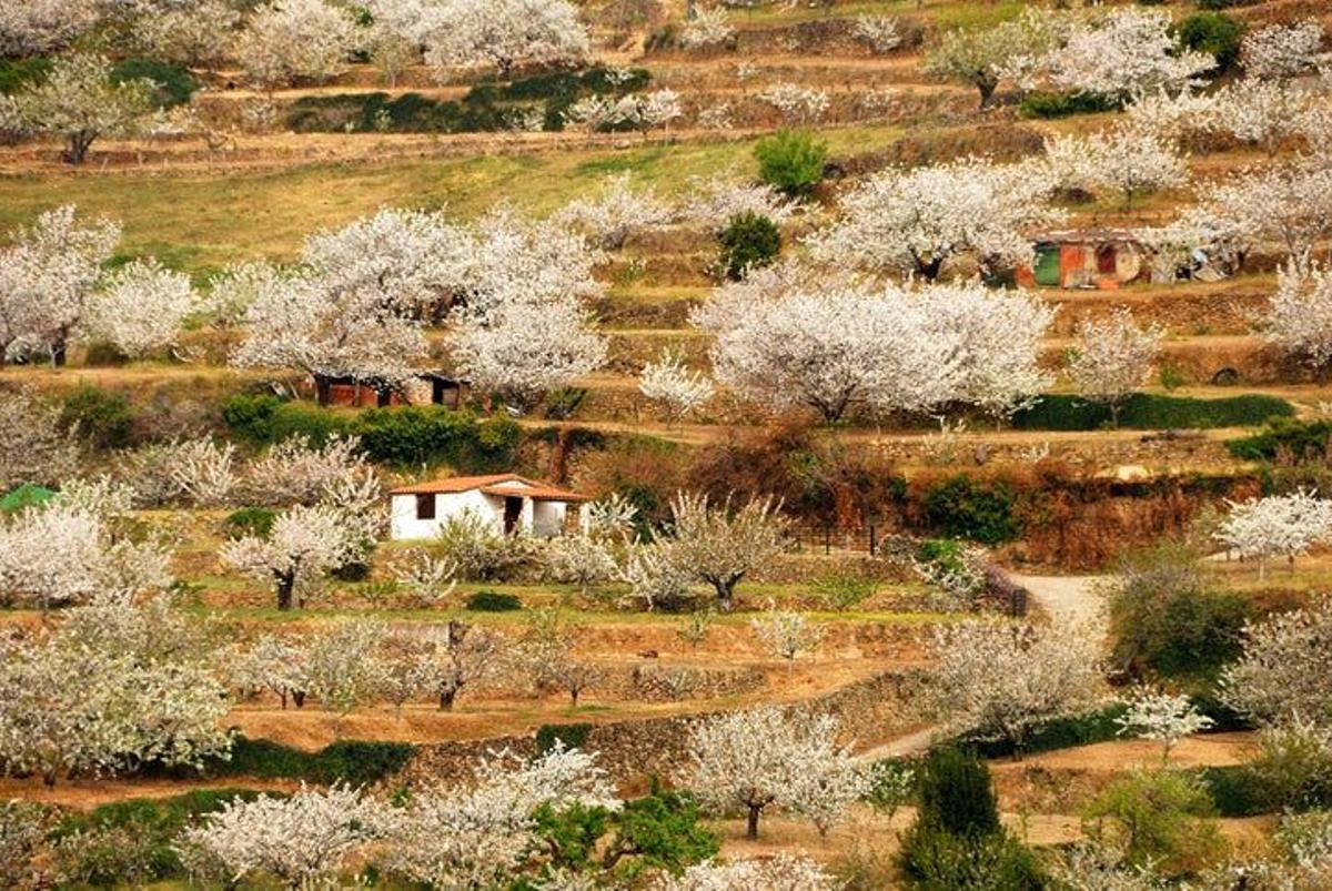 Cabezuela del Valle, Valle del Jerte, Extremadura