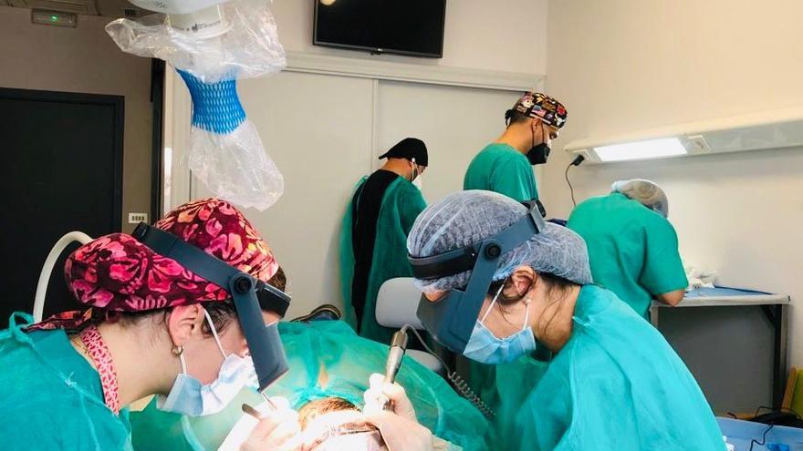 Tener un picnic loco Seguir En cuanto aparece la caída del cabello hay que acudir a un especialista» -  El Periódico Extremadura