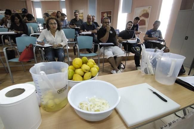 CSURSOS DE HELADERIA ARTESANAL