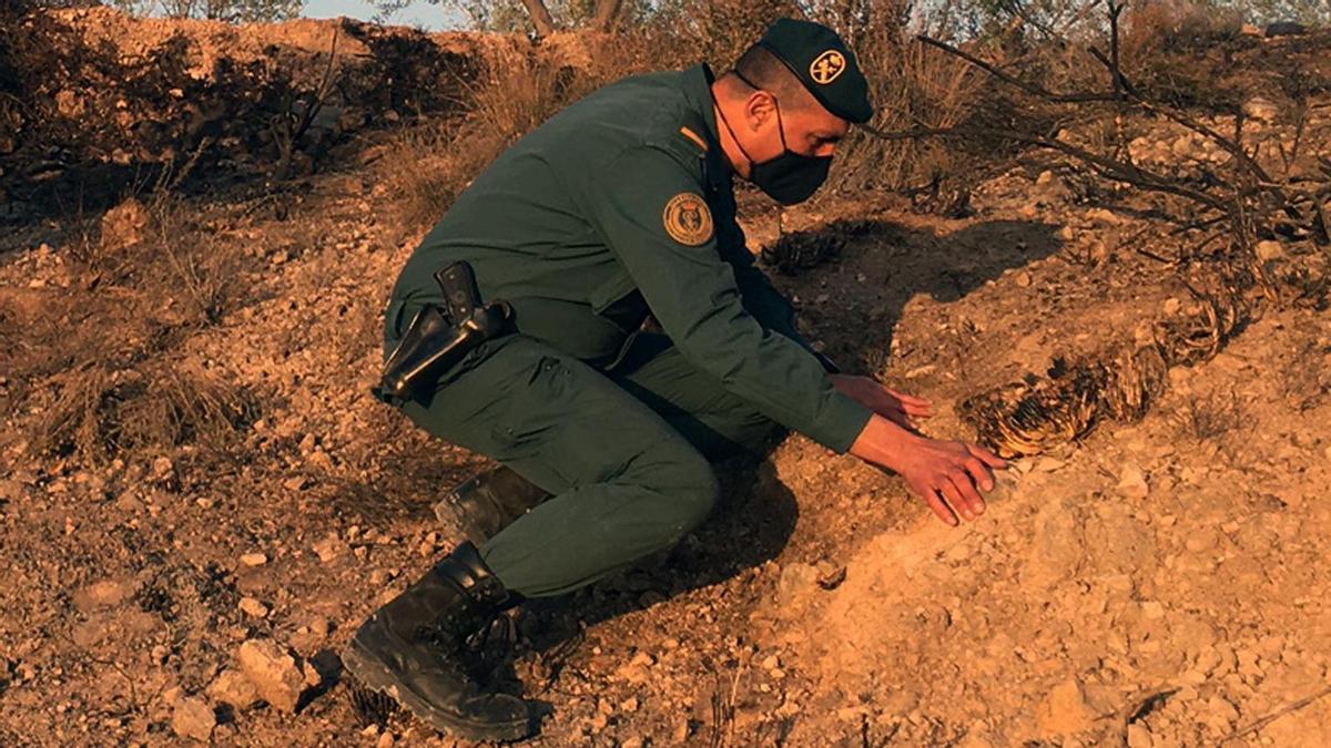 Guardia Civil