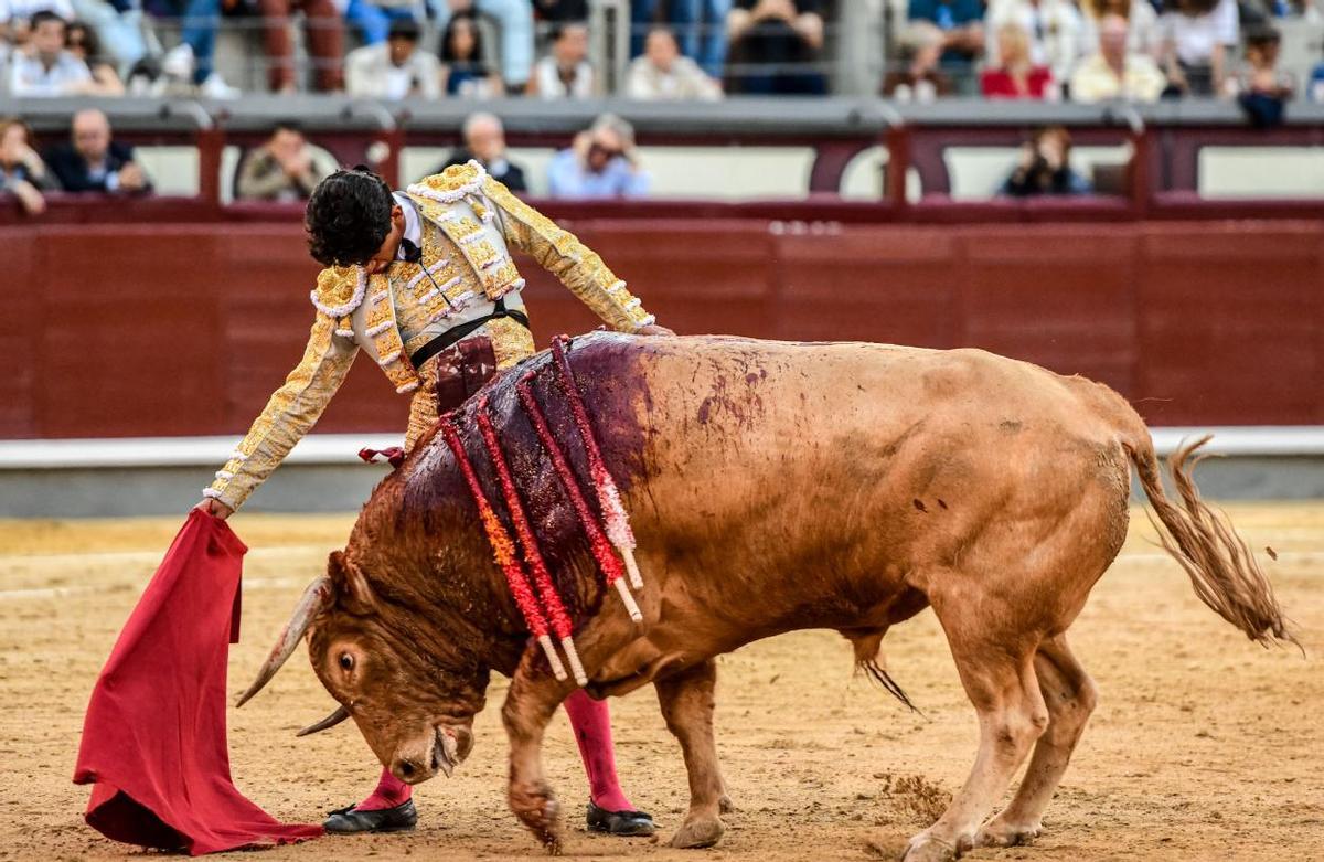 Un extraordinario muletazo de Emiliano Osornio en Las Ventas: "Torea hondo..."