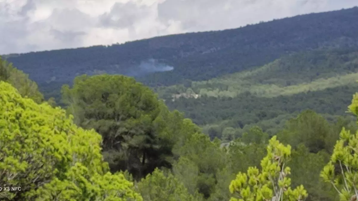 Extinguido el incendio en Petrer