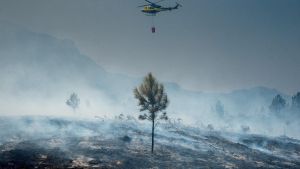 Un helicóptero extingue un incendio en Portugal.