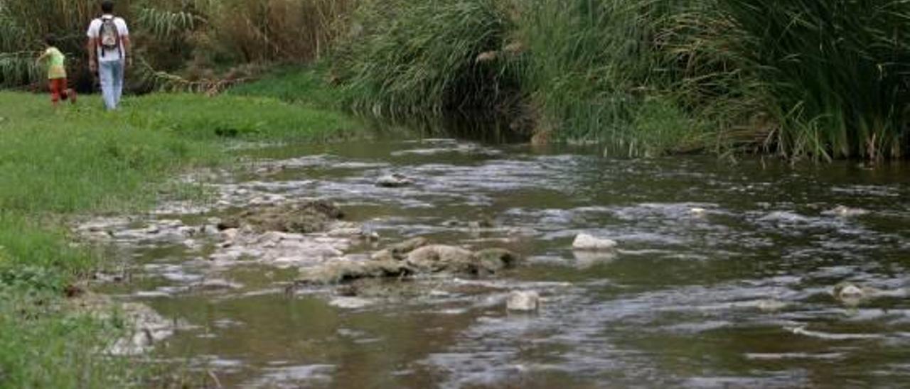 La iniciativa se centrará tanto en la calidad del agua del río Serpis como en la de su entorno.