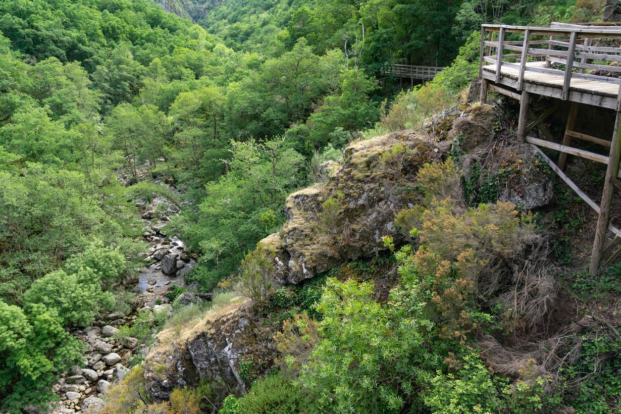 Las pasarelas sobre el cañón del río Mao