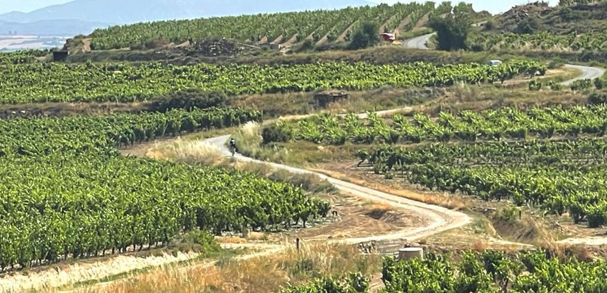 Orbea Gravel Rioja Alavesa, éxito asegurado a menos de un mes de su celebración