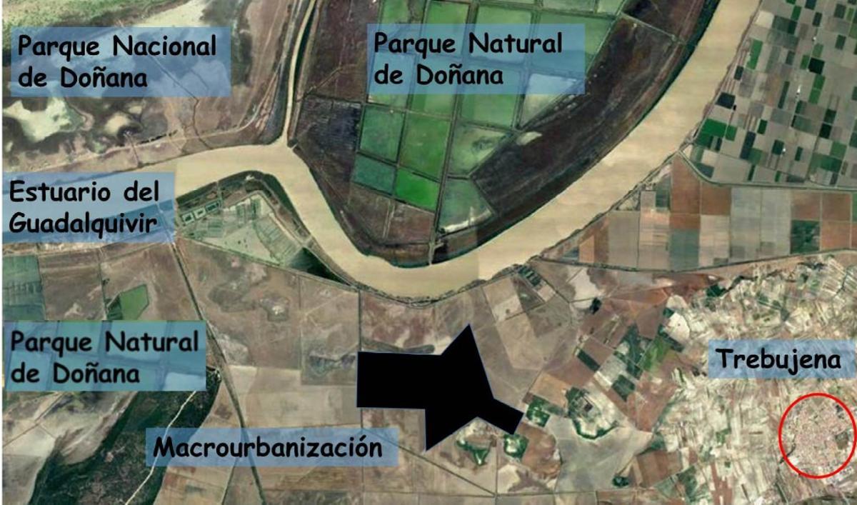 Proyecto de una macrourbanización en Trebujena (Cádiz) frente al Parque Nacional de Doñana.