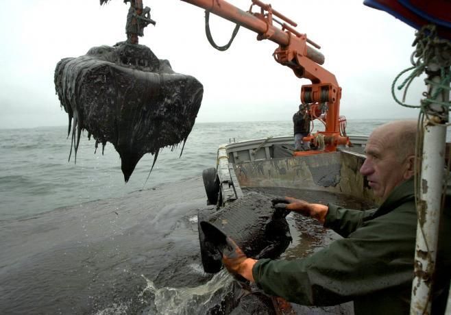 Las cucharas hidráulicas de los barcos mejilloneros dejaron de descargar molusco en los puertos arousanos. Lo que hacían era vaciar el espeso fuel que se encontraba en la boca de la ría y recogían con enormes dificultades.