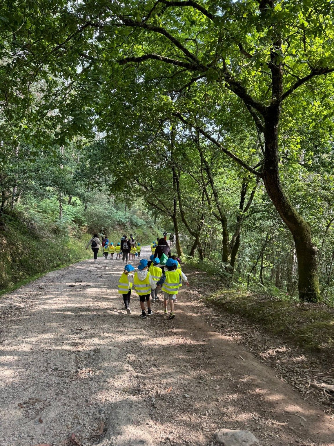 La peregrinación de los niños del CRA de Valga por el Camiño Portugués.