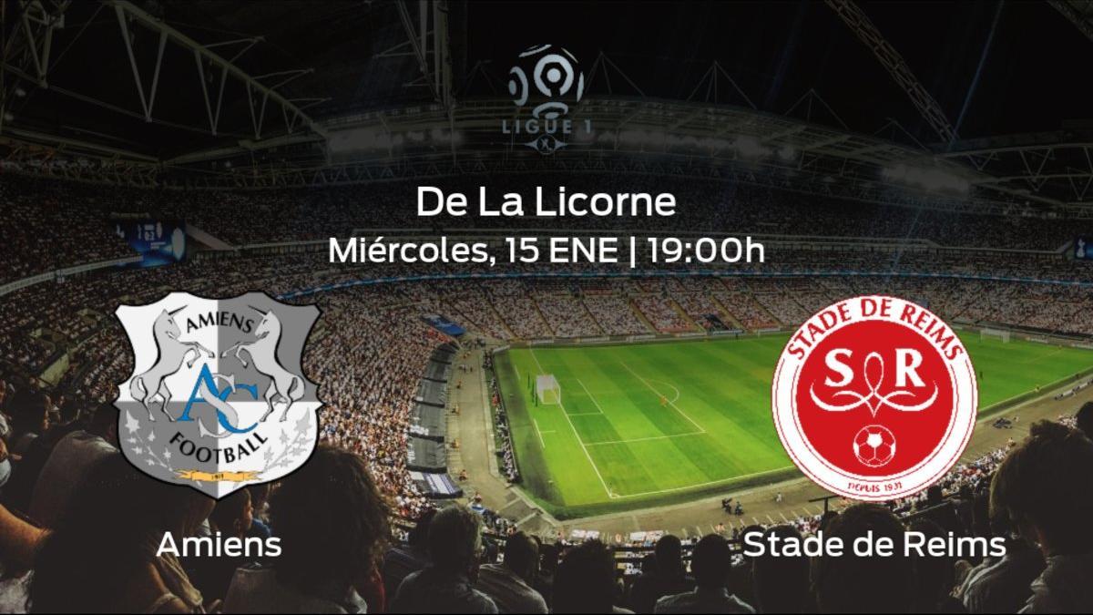 Jornada 16 de la Ligue 1: previa del partido Amiens SC - Stade de Reims