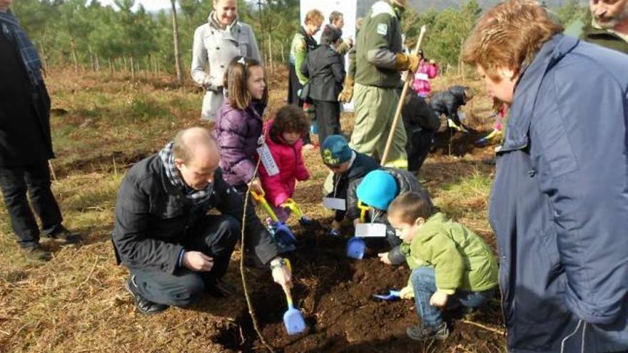 Uno de los grupos, en plena tarea de plantación de árboles, en un espacio de Pexegueiro.  // E.G.