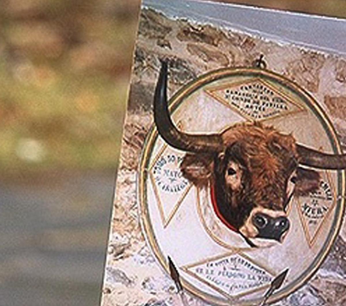 Zamora, tierra de toros bravos desde hace siglos