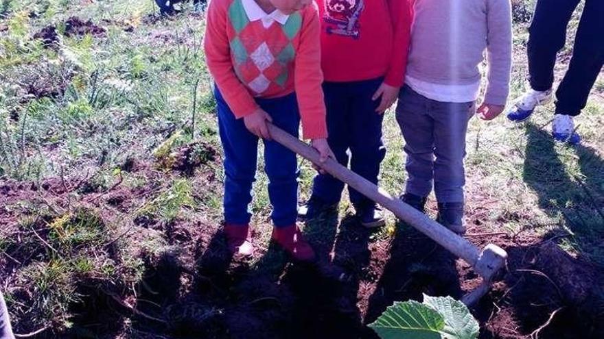 Unos niños preparan el terreno para plantar un árbol. // FdV