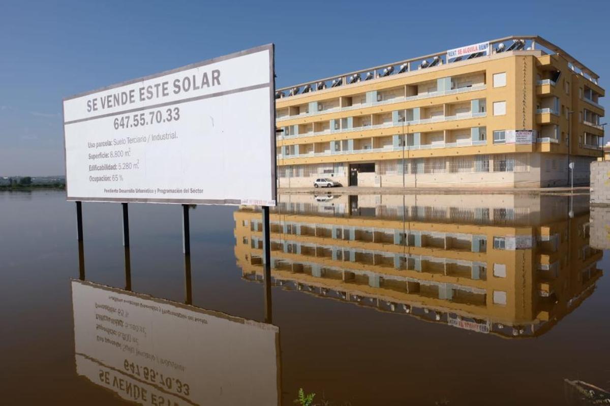 Gota fría en la Vega Baja: Los agricultores cifran en 550 millones las pérdidas en el campo de la provincia de Alicante