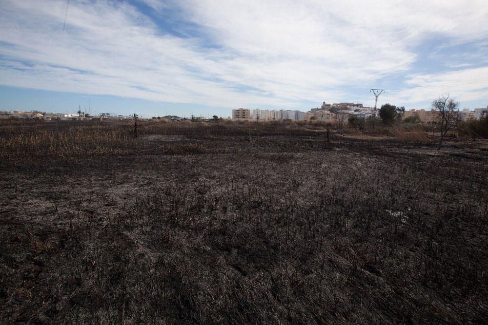 El día después del incendio en ses Feixes