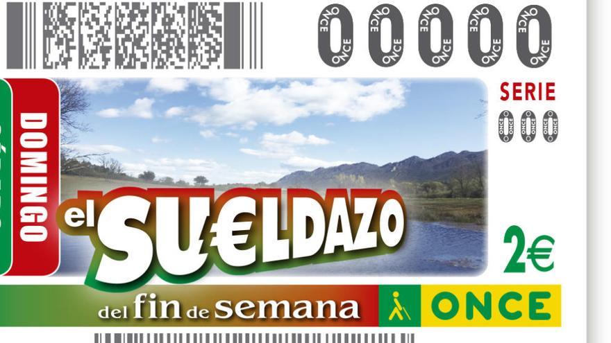 Sueldazo de la ONCE (cupón) comprobar resultado del sorteo de hoy sábado 9 de febrero de 2019