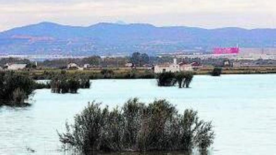 L&#039;Albufera es una laguna somera de apenas un metro de profundidad rodeada por arrozales.