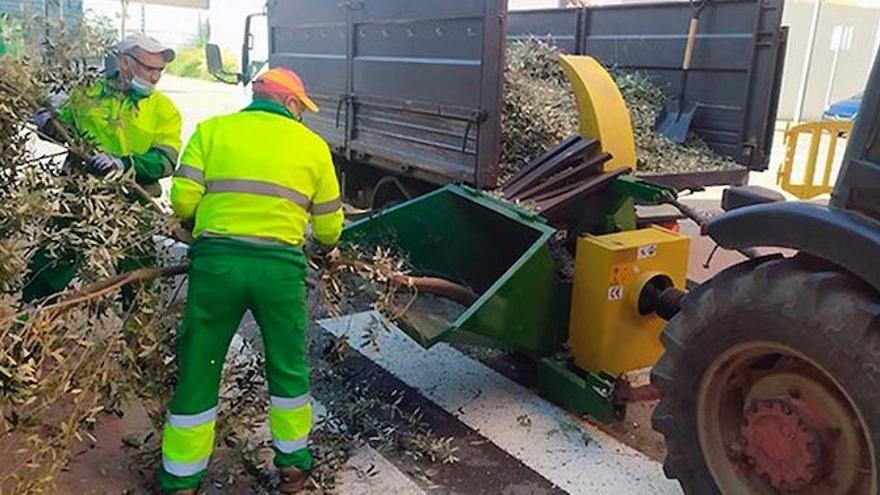 Vinaròs reutiliza los restos de poda como fertilizante