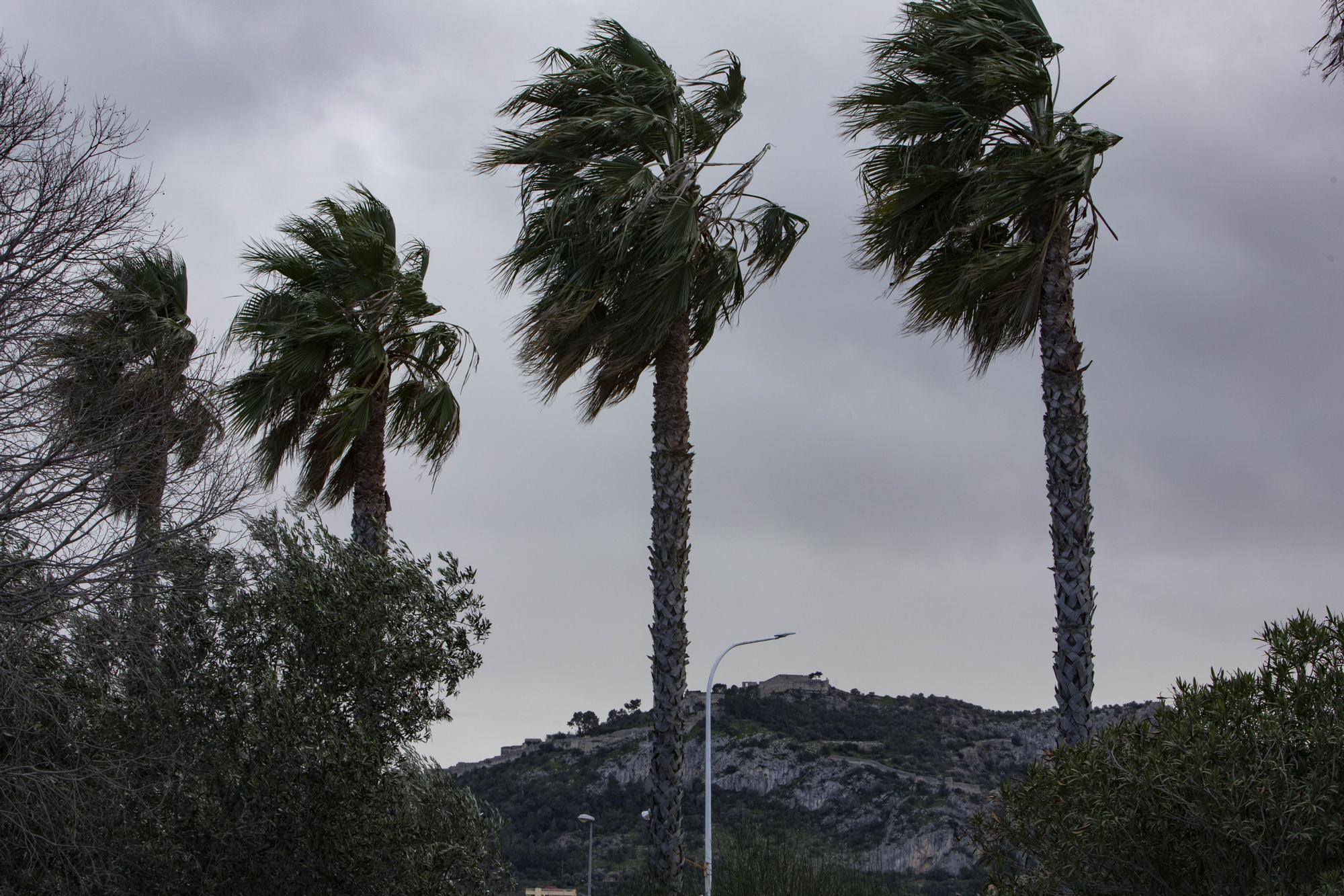 El viento causa varios incidentes en Xàtiva y Ontinyent