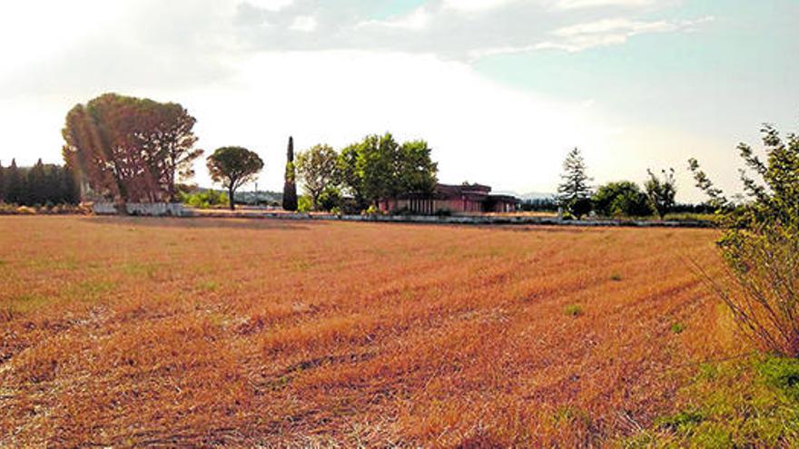 Figueres cedirà l&#039;ús de l&#039;antiga llar d&#039;infants Ramon Reig i un solar a la  Fundació Altem