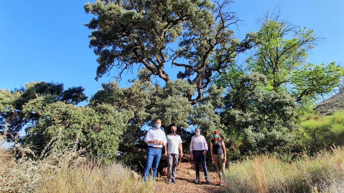 Diego José Mateos, Juan Abad, José Luis Ruiz y Pilar Sánchez junto a una encina centenaria, durante la visita que realizaron en julio del año pasado.