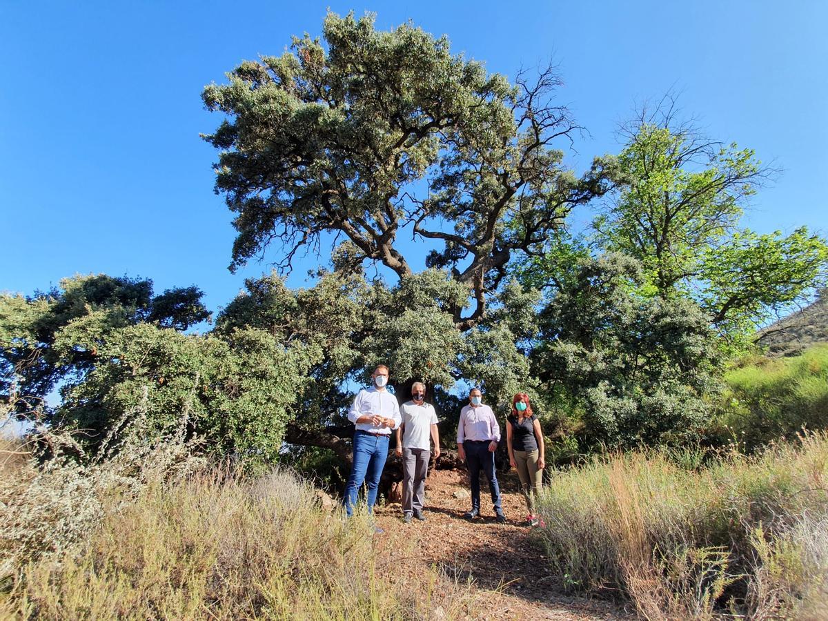 Diego José Mateos, Juan Abad, José Luis Ruiz y Pilar Sánchez junto a una encina centenaria, durante la visita que realizaron en julio del año pasado.