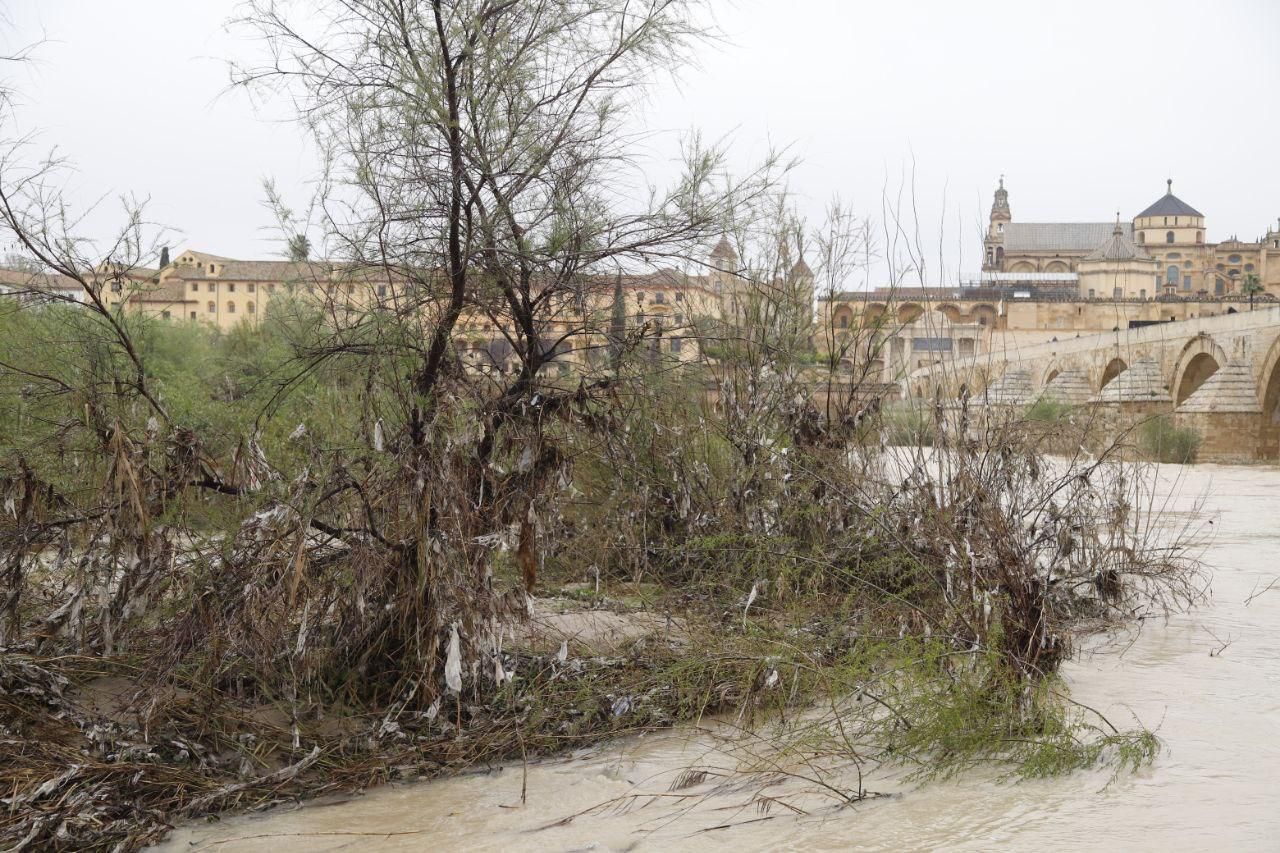 Sadeco culmina la limpieza de las zonas alcanzadas por el río