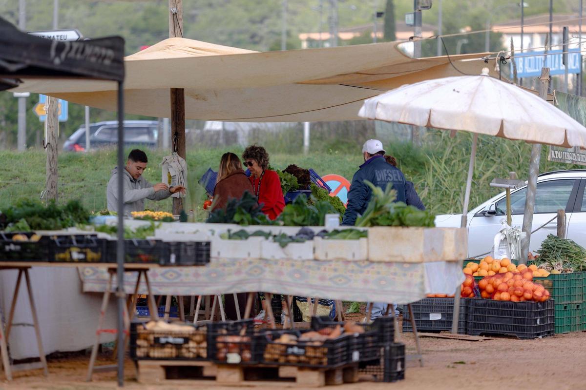 Navidad con sobrasada torrada en sa Cooperativa de Sant Antoni