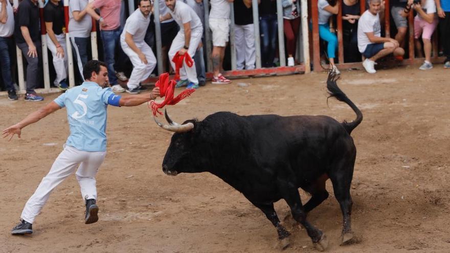 Dos heridos en los &quot;bous al carrer&quot; de Almassora