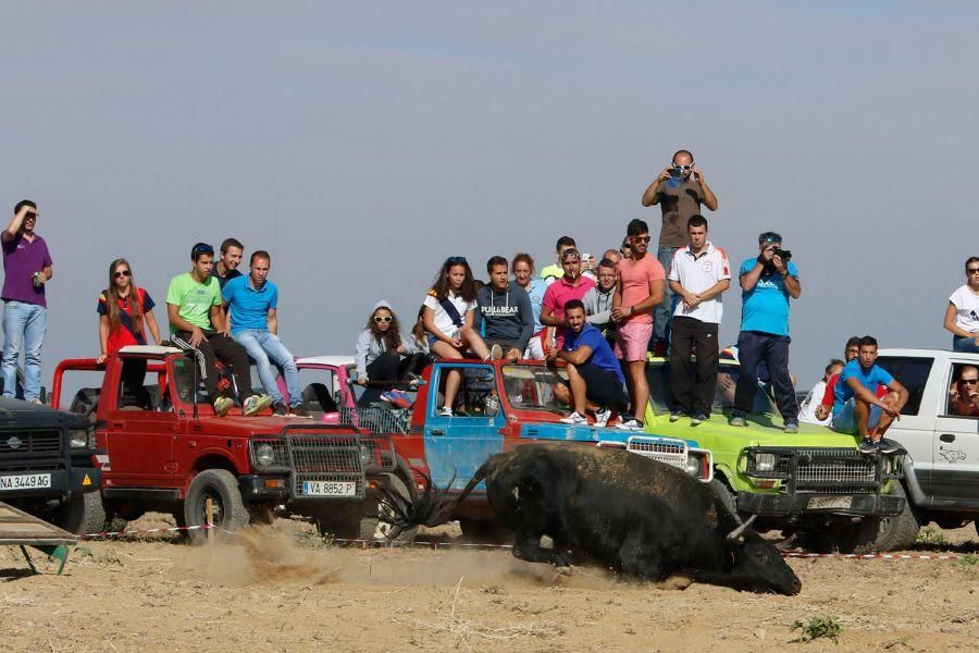 Villalpando despide los toros