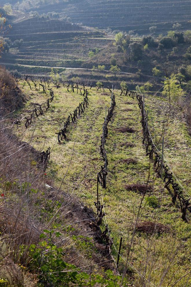 Priorat