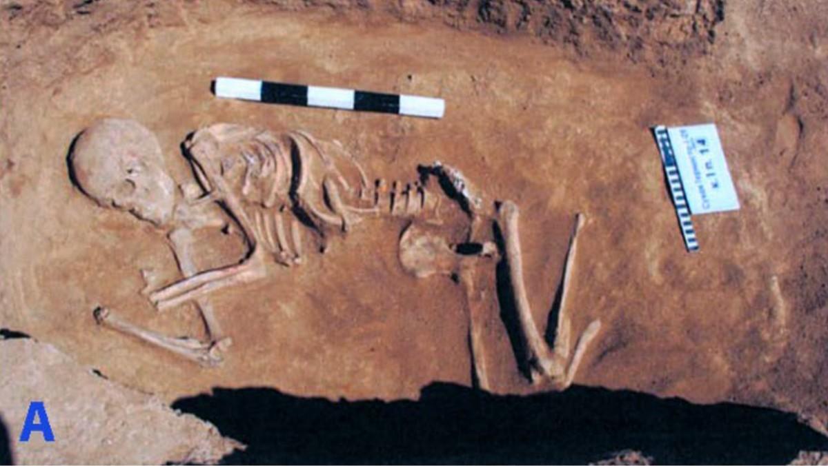 Imagen de los restos descubiertos en un yacimiento arqueológico situado en el sur del Cáucaso.